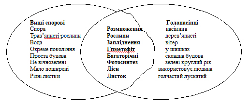 Розробки уроків до теми “Голонасінні” (7 кл.) » Сайт вчителя біології  Павленко Тетяни Іванівни